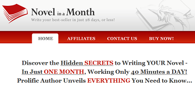 Novel in a Month